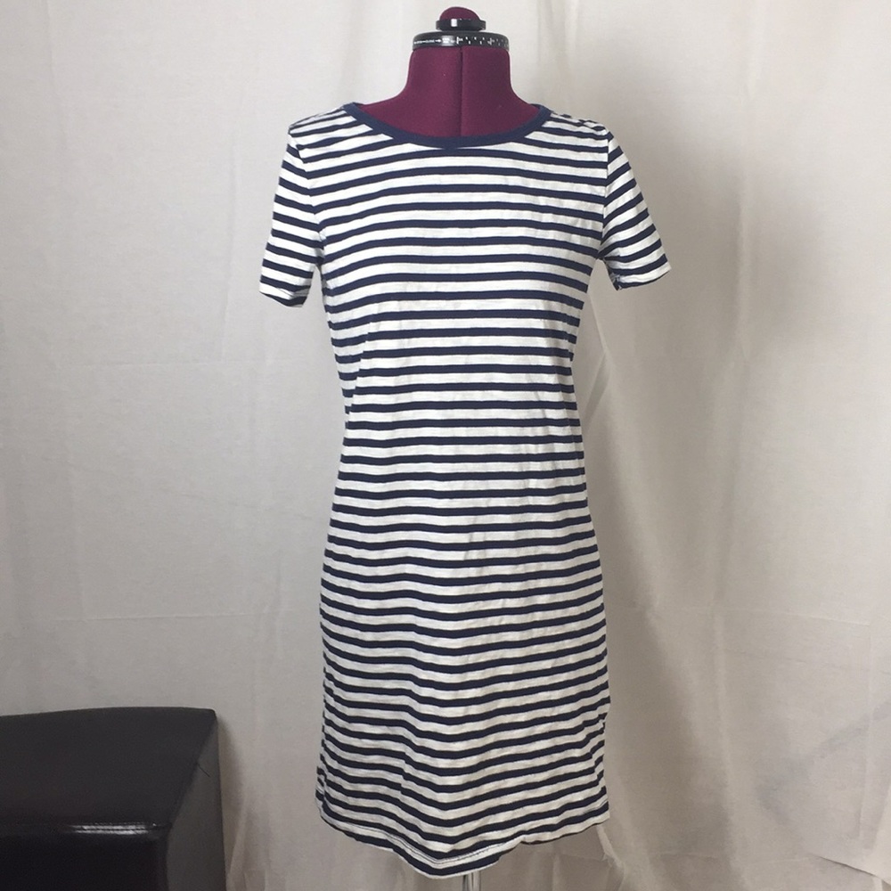 Blue Striped Dress